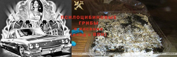 ГАЛЛЮЦИНОГЕННЫЕ ГРИБЫ Надым